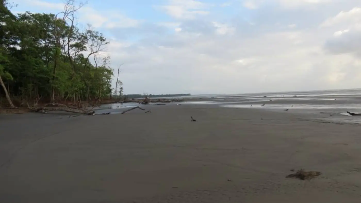 Foram coletadas amostras em 40 pontos ao longo da Praia do Goiabal