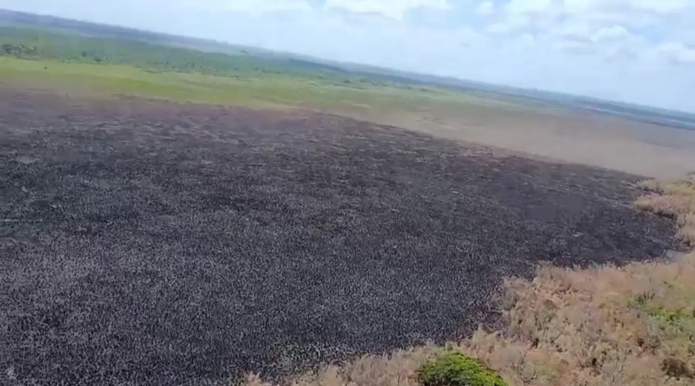 Fogo não chegou a atingir a área ambiental protegida. Monitoramento segue na região