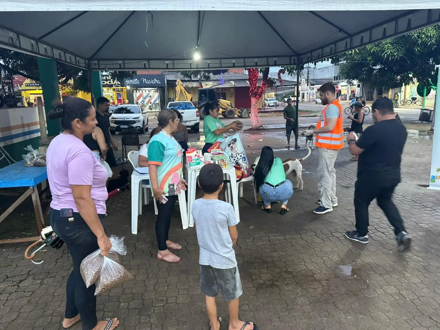Ação mapeou a população de animais domésticos e em situação de rua em Itaubal e Tartarugalzinho
