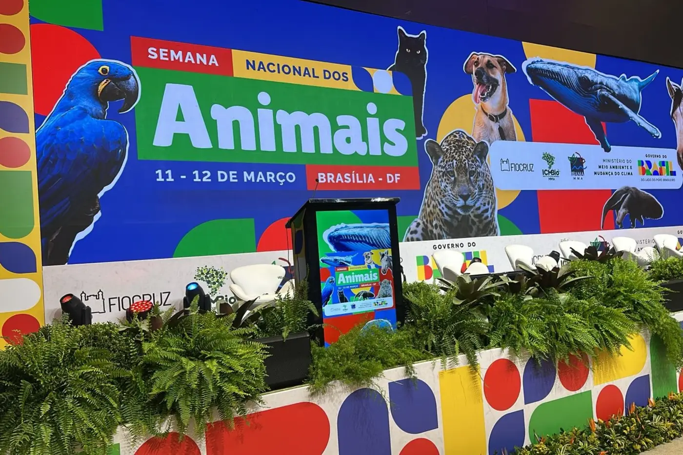 Governo Federal cria a Conferência Nacional de Proteção e Defesa dos Direitos dos Animais