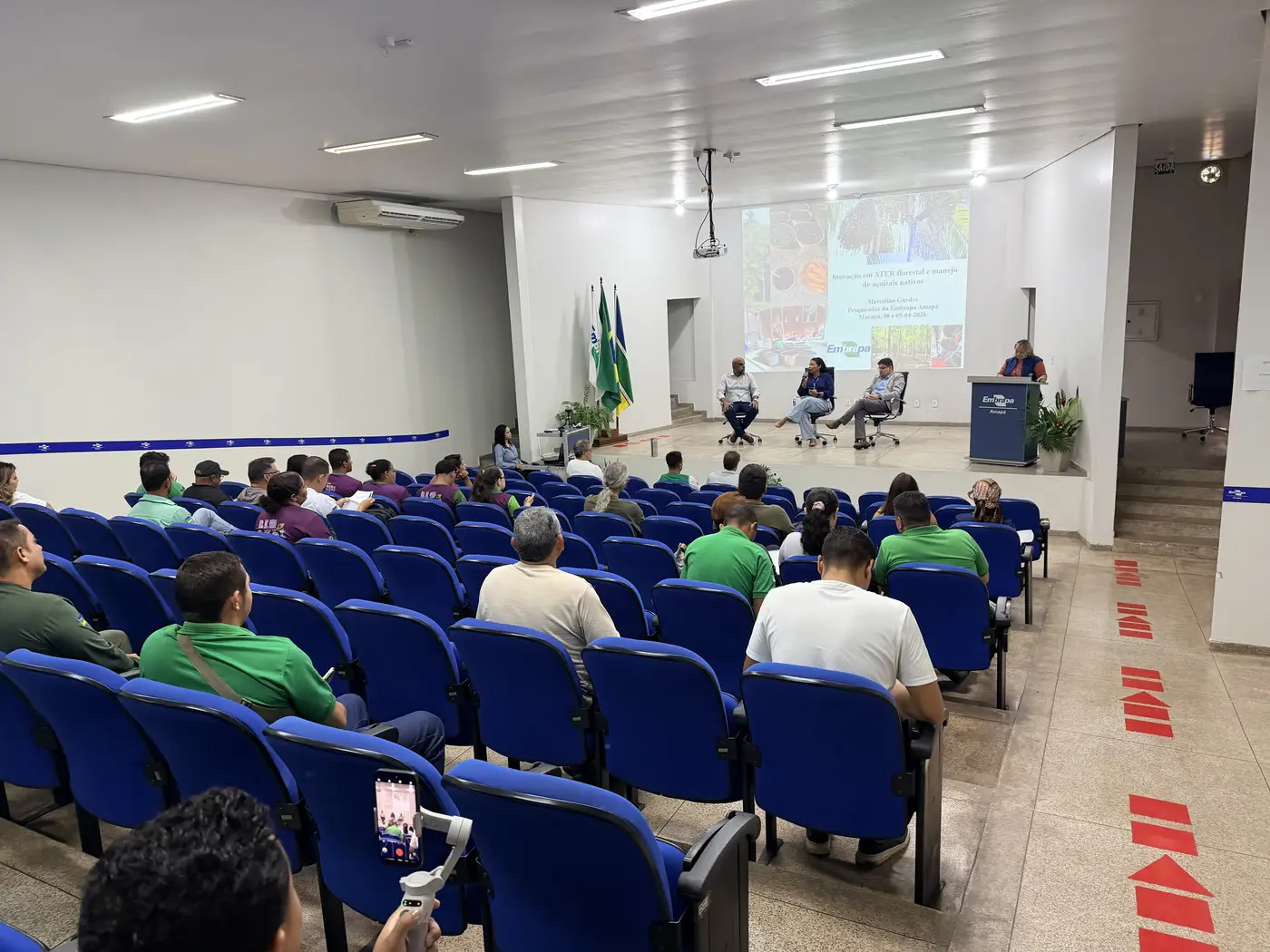 Curso sobre manejo de açaizais nativos promove capacitação e troca de conhecimentos entre profissionais da assistência rural