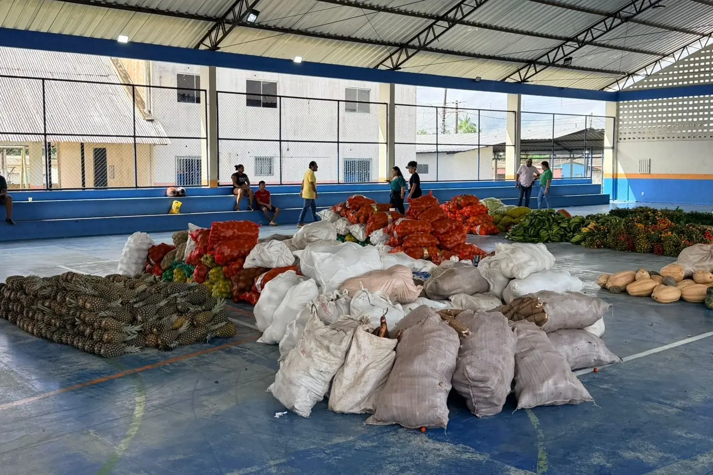 Produção da agricultura familiar que fortalece o campo e garante alimento de qualidade para a população.